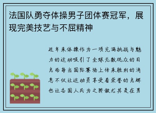 法国队勇夺体操男子团体赛冠军，展现完美技艺与不屈精神