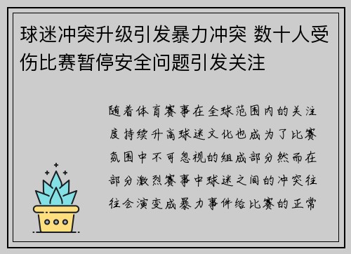 球迷冲突升级引发暴力冲突 数十人受伤比赛暂停安全问题引发关注
