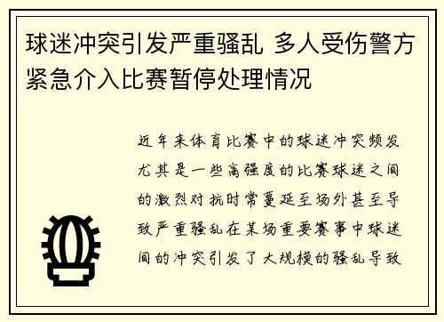 球迷冲突引发严重骚乱 多人受伤警方紧急介入比赛暂停处理情况